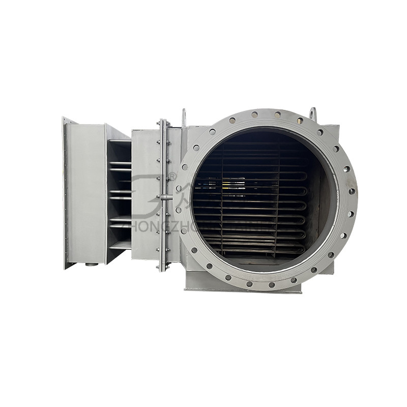 Electric heater for desulfurization and denitrification